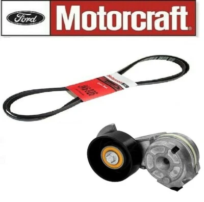 Cinturón Serpentine Motorcraft + Tensor para Mercury Grand Marquis 4,6 L Foto 1 de 3