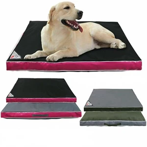 Mojo Dog Bed, Water Resistant, Crushed Foam Fill, Arthritis Pet Cushion, Pillow - Picture 1 of 29