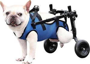 DogLemi -Dog Wheelchair for Back Legs, For Small Dog,- Size MEDIUM- New - Picture 1 of 5