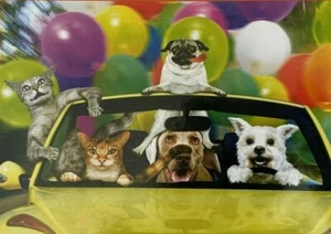 Rompecabezas Sure Lox Studio Pets Risitas Paseo en Coche 300 Piezas Pug Gatito Gatos - Imagen 1 de 5