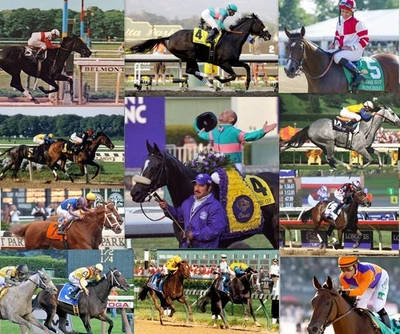 Blanket ZENYATTA and 9 more  Favorite Filly Race Horses 50x60 PLUSH Fleece - Image 1 of 4