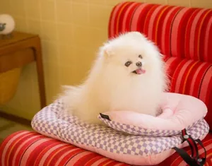Dog Bed/Cushion for Dogs up to 25" - Washable - Mint over Ivory - Picture 1 of 6