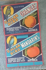 Vintage Fruit Crate Labels - Dollar Bird, Australia, Oranges + Mandarins. - Picture 1 of 4