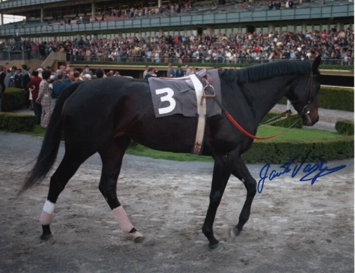 Ruffian 1975 Acorn Stakes Paddock Photo  8" x 10" Signed Jacinto Vasquez - Image 1 of 1