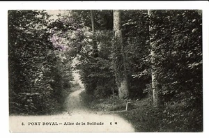 CPA - Carte postale -Jamaiques-Port Royal-Allée de la Solitude -S3546 - Picture 1 of 2