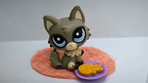 Littlest Pet Shop # 1953 Persian Cat Persian Cat Wolf Authentic LPS - 125 - Picture 1 of 8