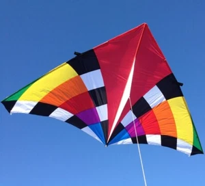 Delta Kite Levitation Rainbow HUGE 108 x 55" RipStop Nylon + Carry Bag - Picture 1 of 5