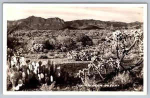 RPPC 1937 Tucson Arizona Cactus Mountains Homestead Postcard - D16 - Picture 1 of 2