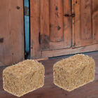 8 Mini Hay Bales for Farm Table Decoration & Crafts