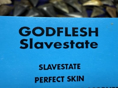1991 PROMO GODFLESH SLAVESTATE INDUSTRIAL METAL BIRMINGHAM ENGLAND - Image 1 of 4