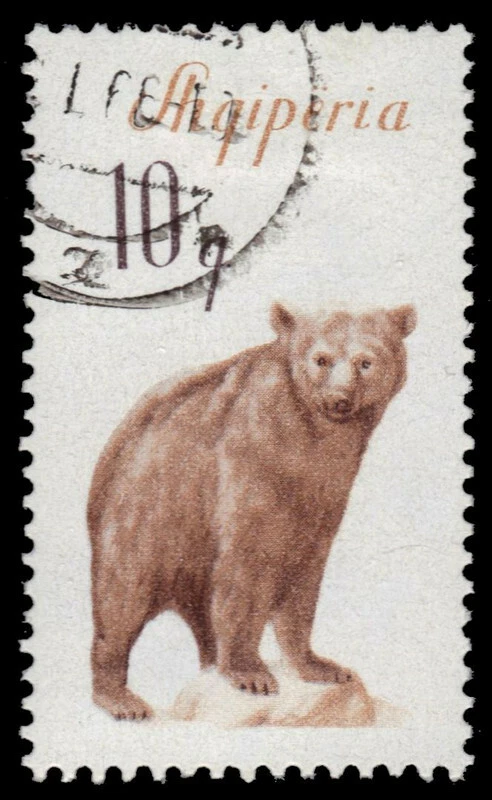 ALBÂNIA 884 - Urso marrom europeu "Ursus arctos" (pf79117) - Imagem 1 de 1