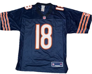 Chicago Bears NFLPA Jersey Size S - Picture 1 of 4