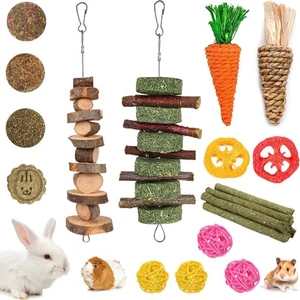 20 PCS Bunny Chew Toys for Teeth, Natural Rabbit Toys Apple Wood Grass 1 Set - - Picture 1 of 7