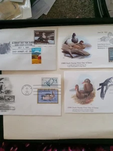O33 # Duck Cover Lot - Picture 1 of 3