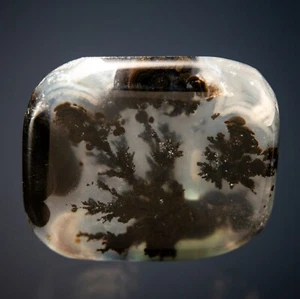 Quartz var. Plume Agate Medicine Bow Mountains, Wyoming 2104-041 - Picture 1 of 3