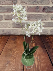 Artificial Phalaenopsis Orchid W/O pot. Silk Flower Arrangements WHITE - Picture 1 of 6