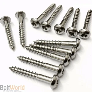 TORNILLOS DE MADERA DE CABEZA REDONDA POZI DRIVE A2 ACERO INOXIDABLE CÚPULA AGLOMERADA DIN 7996 BW - Imagen 1 de 2