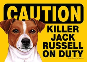 Letrero imán de perro Killer Jack Russell en servicio gancho y sujetador de bucle 5x7 - Imagen 1 de 1