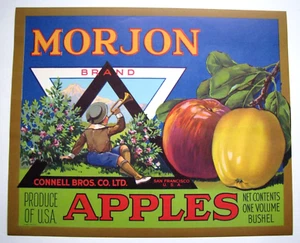 Original MORJON apple crate label Connell Brothers San Francisco CA - Picture 1 of 1