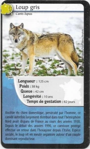 Carte Bioviva! - Loup gris - 01 - Picture 1 of 2