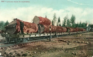 AK California CA Holzfällerzug in Kalifornien geteilt hinten A01 - Bild 1 von 2