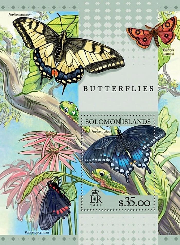 BUTTERFLIES Insect 1-Value MNH Stamp Sheet #161 (2016 Solomon Islands) - Image 1 of 1