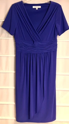 Vestido Evan Picone Periwinkle Drapeado Elástico Poliéster SS Cremallera Lateral Talla 12 EC! Foto 1 de 4