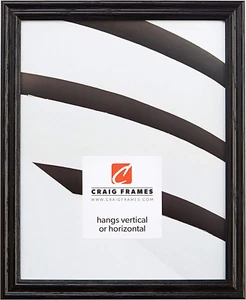 200ASHBK 16 by 24-Inch Picture Frame, Wood Grain Finish, 0.75-Inch Wide, Black - Picture 1 of 9