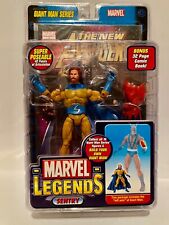 Marvel Legends   Giant Man Series   SENTRY  Bearded Variant  - ToyBiz 2006