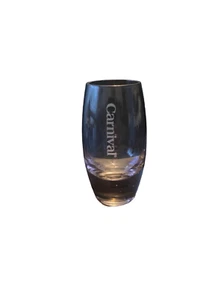 Pre Owned Carnival Cruise Pink Shot Glass Etched Logo - Picture 1 of 10