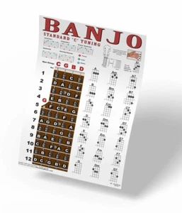 Banjo Chord Wall Chart Poster Fretboard Standard C Tuning 5 String Chords Notes - Picture 1 of 7
