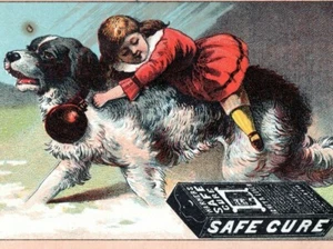 Wausau Wisconsin VTC 1880s H.A. Frost Druggist St Bernard Dog Safe Cure Liver - Picture 1 of 4