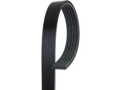 Para 1991-1993 Alfa Romeo Spider Multi Rib Cinturón Dirección Asistida AC Delco 53546KVMC Foto 1 de 2