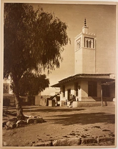 Heliograbado original Lehnert & Landrock c. 1920s #2077 árboles del templo nativos - Imagen 1 de 4