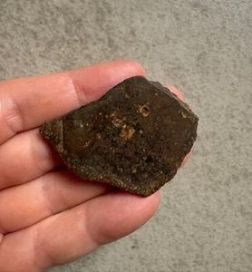 Meteorite NWA 13272 ungrouped achondrite slice 15.1 g - Picture 1 of 3