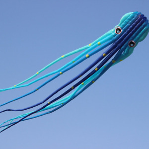 15m Crystal Octopus Kite Soft Inflatable Animal Kite Ripstop Adult Flying Toy