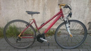 PEGASUS PIAZZA DAMENRAD Laufräder Nabendynamo Shimano.Alivio Federgabel Trekking - Bild 1 von 6