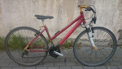 PEGASUS PIAZZA DAMENRAD Laufräder Nabendynamo Shimano.Alivio Federgabel Trekking - Bild 1 von 4