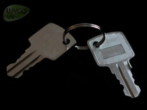 2 Spare Keys for Windsor Chariot, Saber Cutter, SaberGlide, 86004860, 48073, 21G - Picture 1 of 1