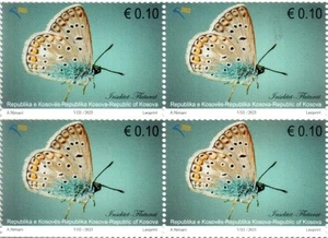Kosovo Stamps 2025 (Reprint 2012). Fauna: Butterfly. Definitive Block of 4 MNH - Picture 1 of 1