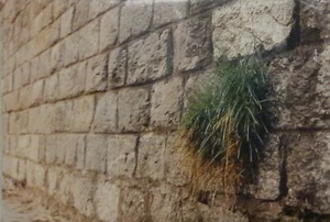 Stefano MUSSIO (Italia XX-XXI Sec.) Foto per concorso "Oltre il muro" cm 30x45 - Imagen 1 de 4