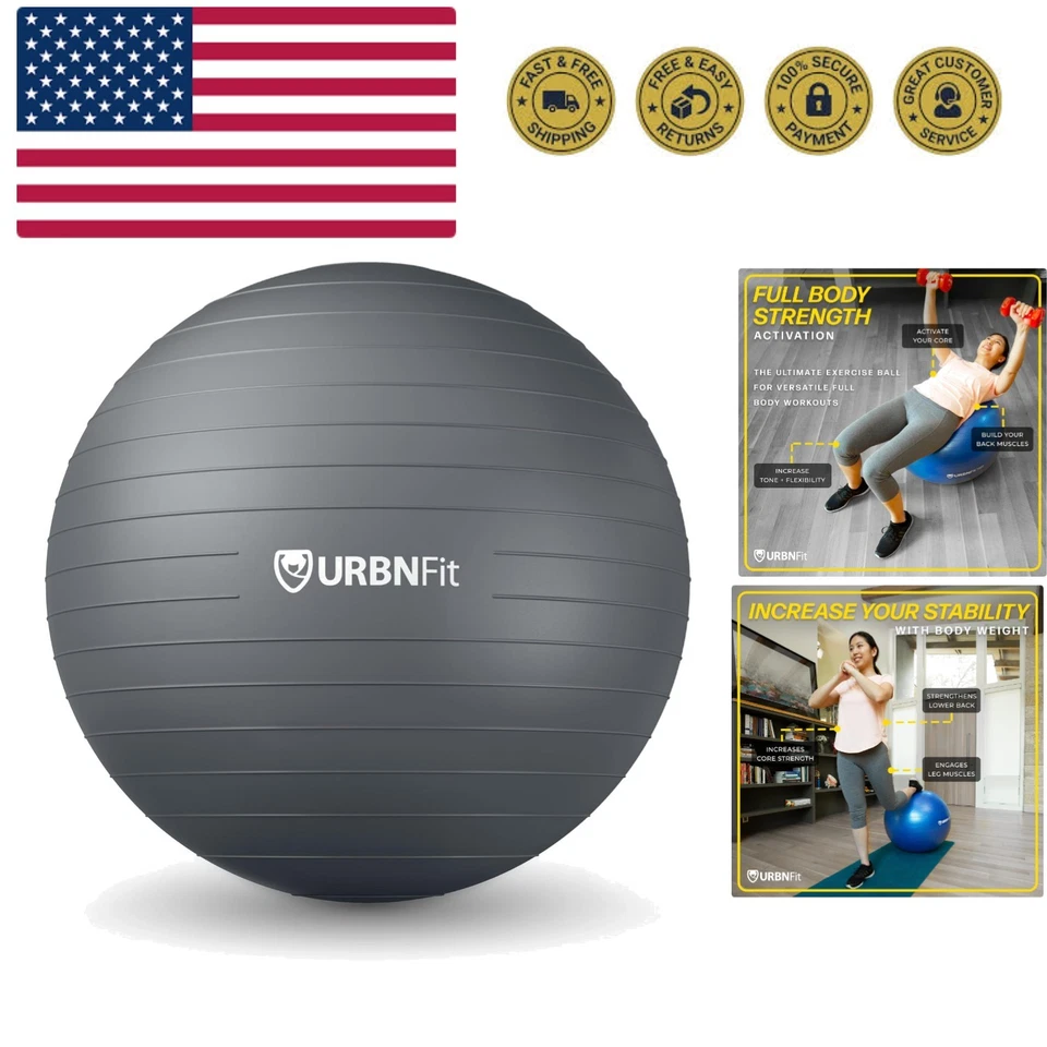 Exercise Ball 65 Cm for Stability & Yoga Workout Guide Incuded Profe Silver 65cm
