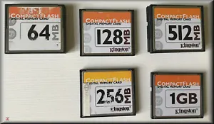 KINGSTON Compact Flash CF 64MB 128MB 256MB 512MB 1GB 2GB 4GB with Case - Picture 1 of 1