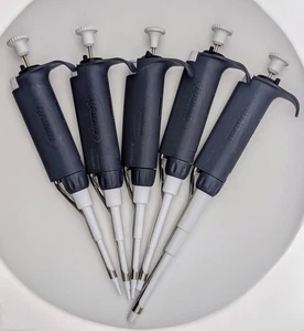 Juego de pipetas Rainin LTS | 2uL, 10uL, 20uL, 200uL, 1000uL | Limpias y calibradas - Imagen 1 de 18