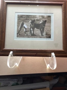 Gerrit Pitout Signed Photography - beautiful vintage frame 16x14 inches - Picture 1 of 8