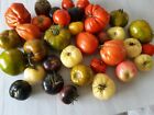 130 Graines de Tomates anciennes/ 130 Seeds Tomatos of your choise