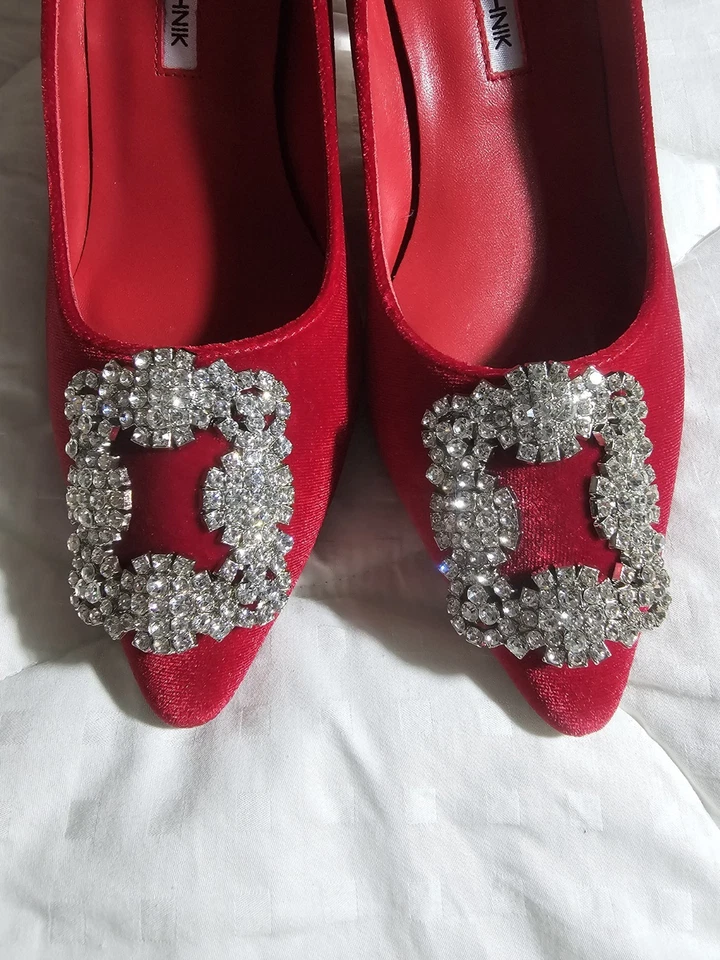 BOMBAS DE TERCIOPELO MANOLO BLAHNIK HANGISI Foto 1 de 4