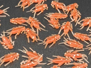 (32) Señuelo de plástico suave de plástico suave Mighty Cricket "Rosie Reds" Panfish Jig Cangrejo de Cricket de .875" - Imagen 1 de 1