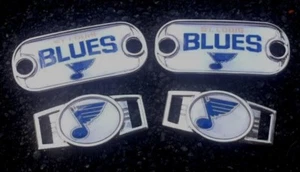 2 ~ unidades Dijes Louis Blues NHL Ovalado o Mini Etiqueta de Perro Dijes Zapatos Dijes - Imagen 1 de 3