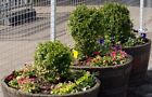 Photo 6X4 Floral Arrangement - Stranraer Station While There May Be No Mo C2013